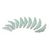 Ciaobrow Dolly Shields for Lifting Lash